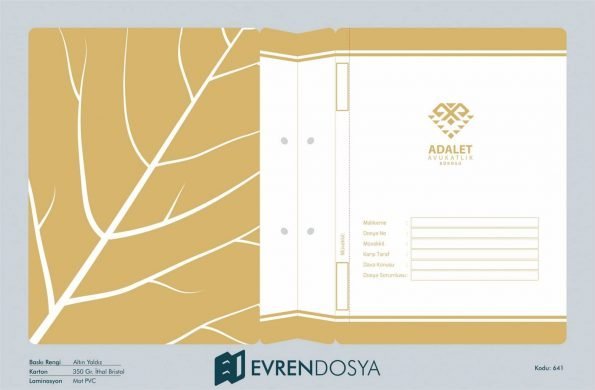 Avukat Dosyası 641